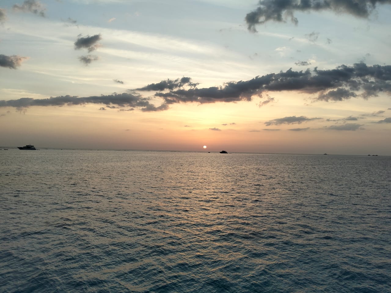 Sataya Dolphin Adventure – Swim with Dolphins in the Red Sea (19/12/2026)
