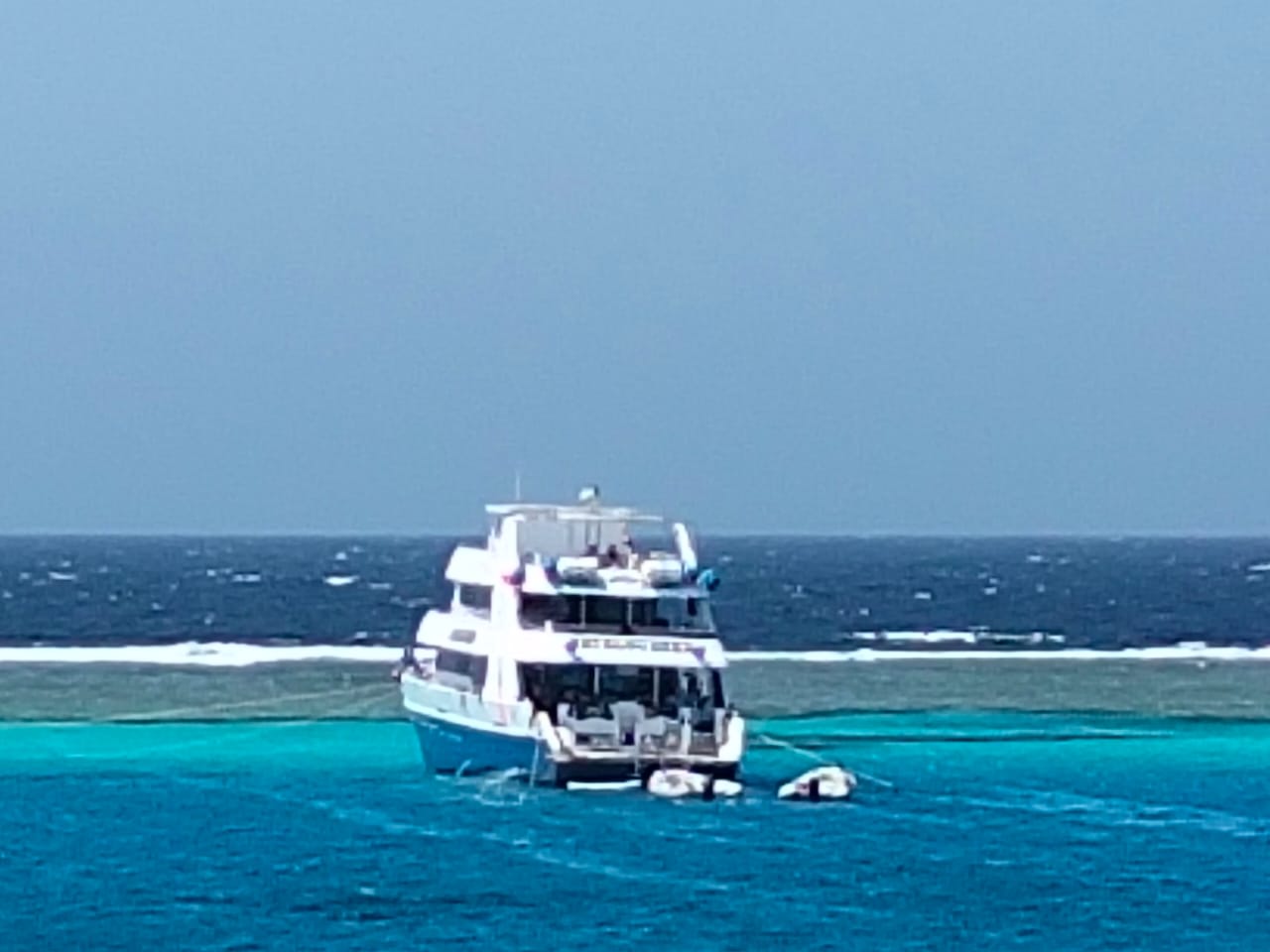 Sataya Dolphin Adventure – Swim with Dolphins in the Red Sea (19/12/2026)