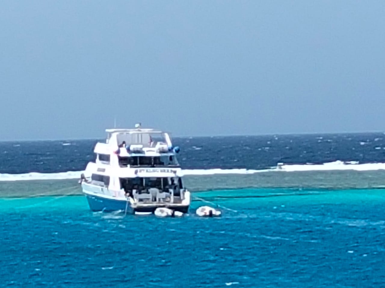 Sataya Dolphin Adventure – Swim with Dolphins in the Red Sea (19/12/2026)