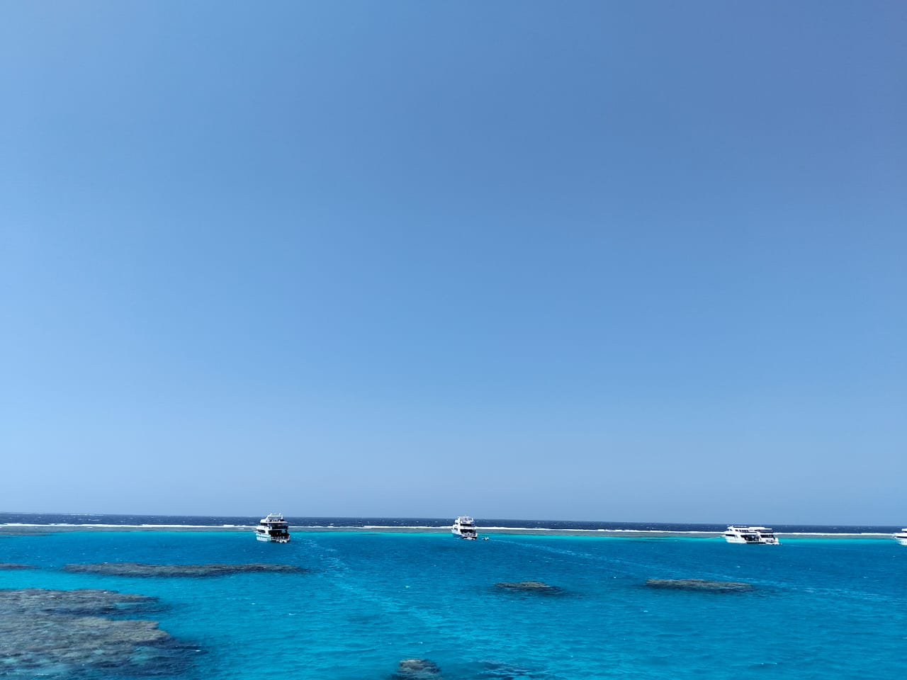 Sataya Dolphin Adventure – Swim with Dolphins in the Red Sea (19/12/2026)