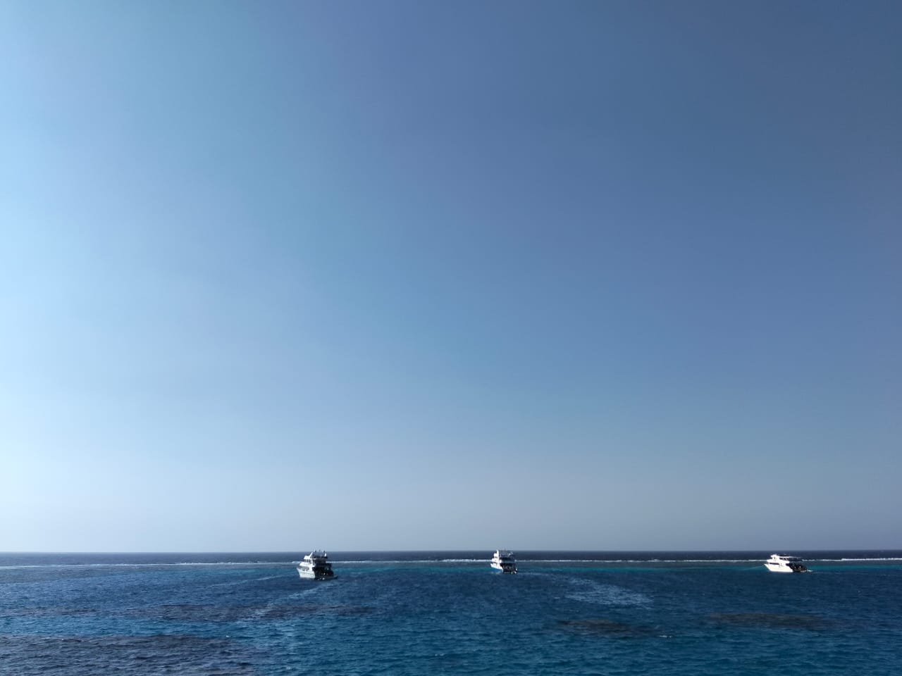 Sataya Dolphin Adventure – Swim with Dolphins in the Red Sea (19/12/2026)