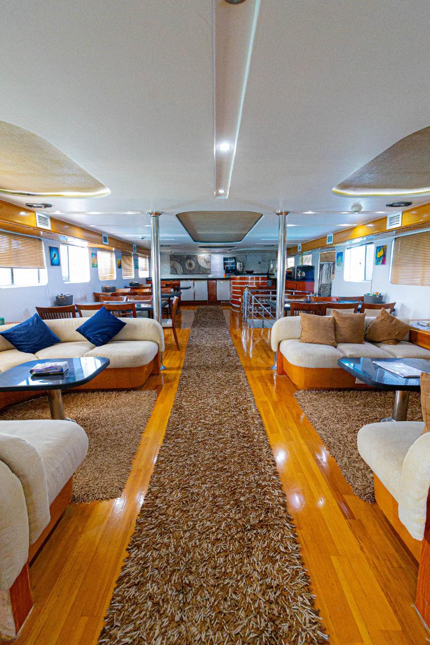 Dolphin watching and snorkeling in pristine Red Sea coral reefs