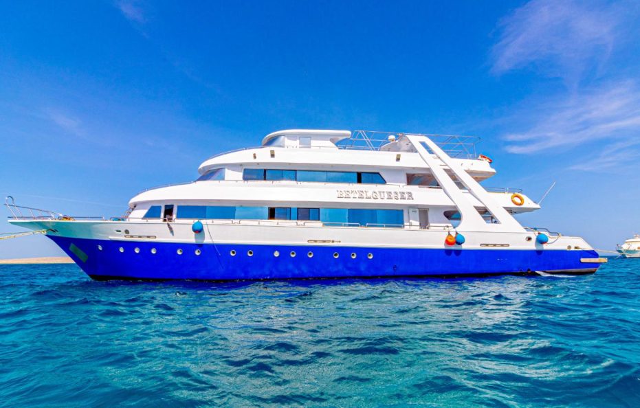 7 Days Cruising with Dolphins