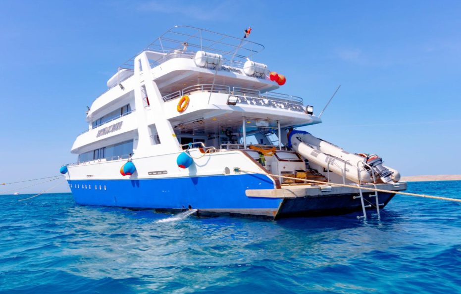 7 Days Cruising with Dolphins