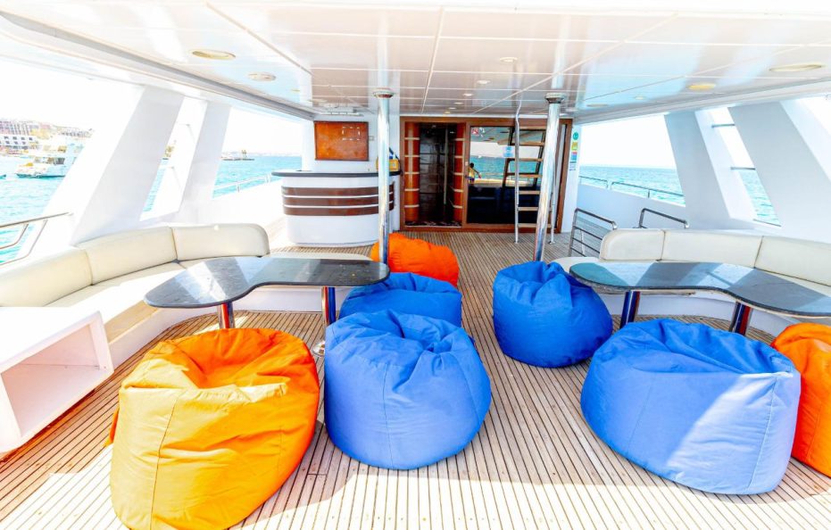 7 Days Cruising with Dolphins