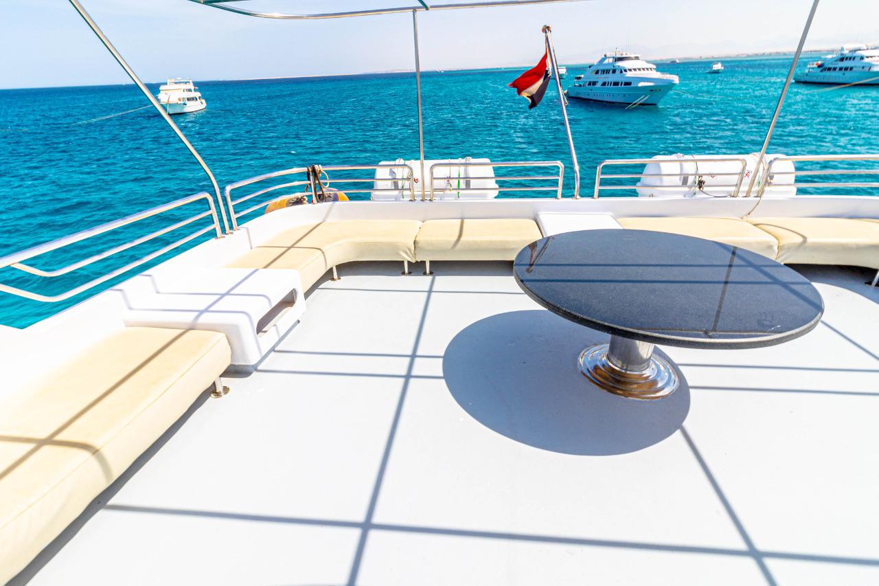 Dolphin watching and snorkeling in pristine Red Sea coral reefs