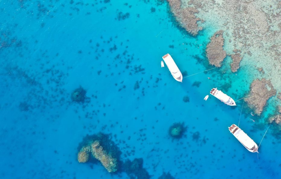 7 Days Cruising with Dolphins