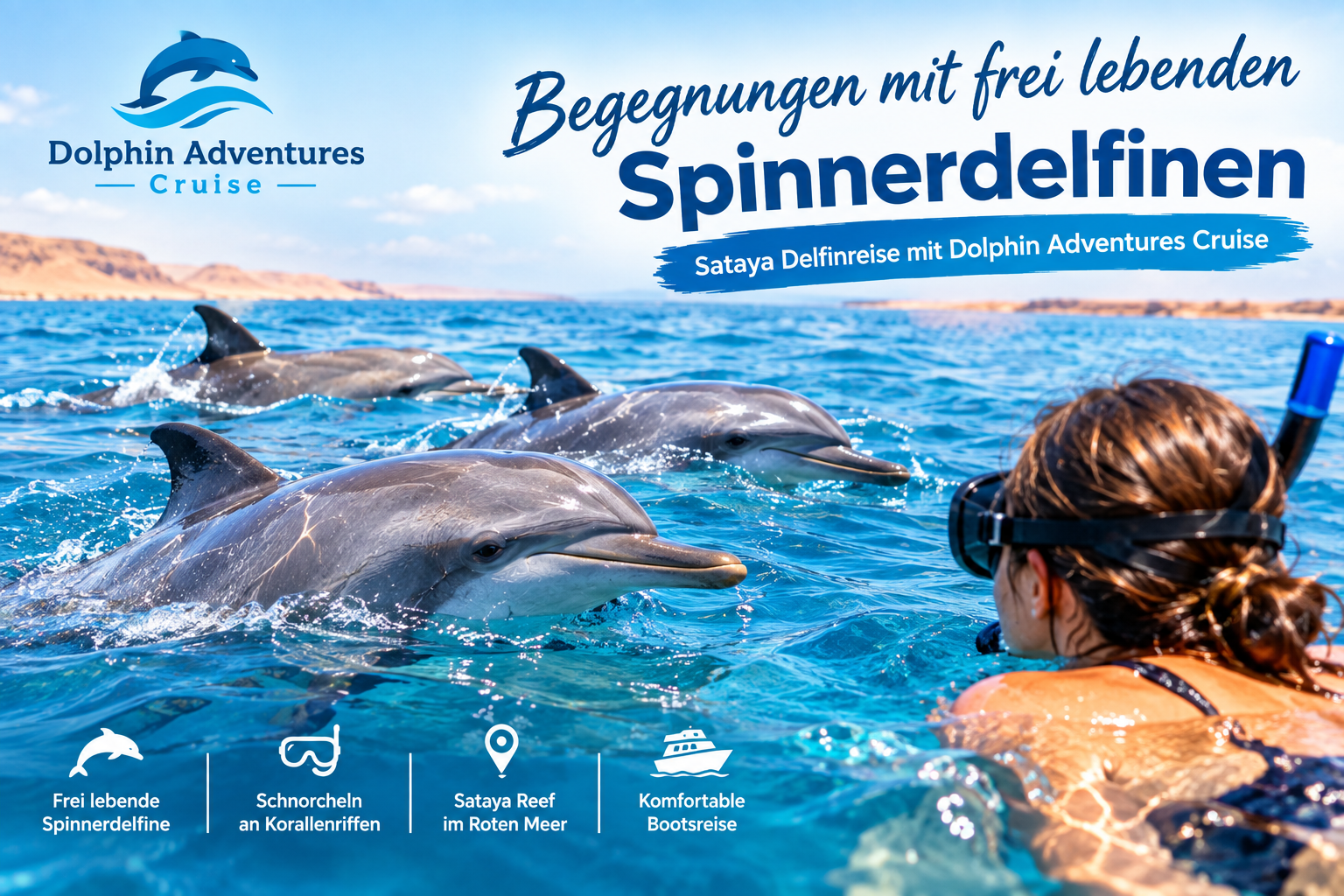 Begegnungen mit frei lebenden Spinnerdelfinen