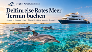 Delfinreise Rotes Meer Termin buchen