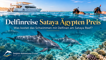 Delfinreise Sataya Ägypten Preis