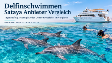 Delfinschwimmen Sataya Anbieter Vergleich