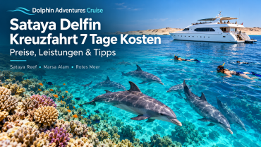 Sataya Delfin Kreuzfahrt 7 Tage Kosten