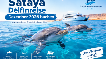 Sataya Delfinreise Dezember 2026 buchen
