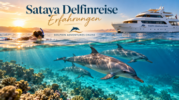 Sataya Delfinreise Erfahrungen