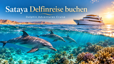 Sataya Delfinreise buchen