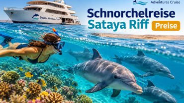Schnorchelreise Sataya Riff Preise