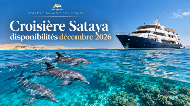Croisière Sataya disponibilités décembre