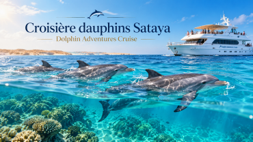 Croisière dauphins Sataya