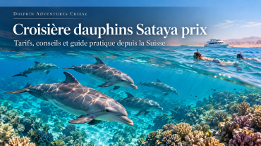 Croisière dauphins Sataya prix