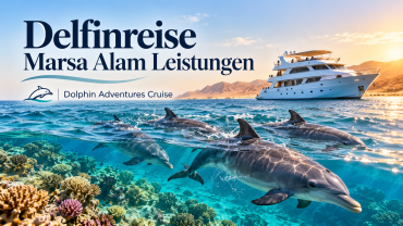 Delfinreise Marsa Alam Leistungen