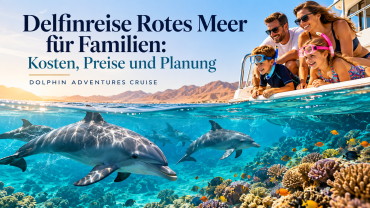 Delfinreise Rotes Meer für Familien Kosten, Preise und Planung