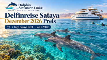 Delfinreise Sataya Dezember 2026 Preis