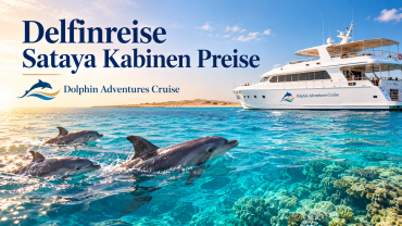 Delfinreise Sataya Kabinen Preise