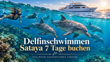 Delfinschwimmen Sataya 7 Tage buchen