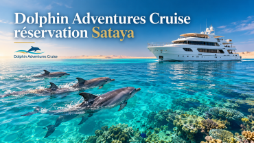 Dolphin Adventures Cruise réservation Sataya