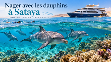 Nager avec les dauphins à Sataya
