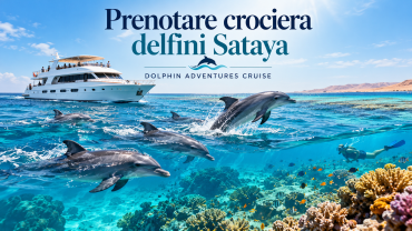 Prenotare crociera delfini Sataya