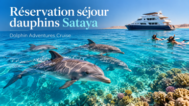 Réservation séjour dauphins Sataya