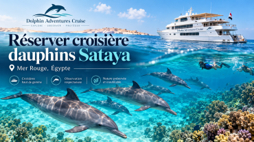 Réserver croisière dauphins Sataya