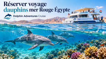 Réserver voyage dauphins mer Rouge Égypte