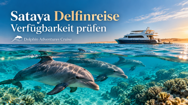 Sataya Delfinreise Verfügbarkeit prüfen