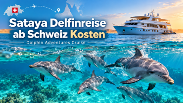 Sataya Delfinreise ab Schweiz Kosten
