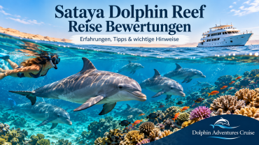 Sataya Dolphin Reef Reise Bewertungen