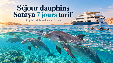 Séjour dauphins Sataya 7 jours tarif