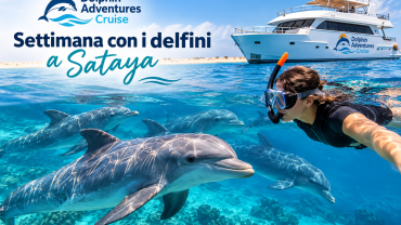 Settimana con i delfini a Sataya